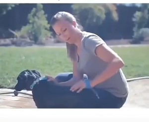 Atdiva Pet Shower Brush Alat Memandikan Anjing Selang Sikat Grooming Bath Lengkap Hewan Peliharaan