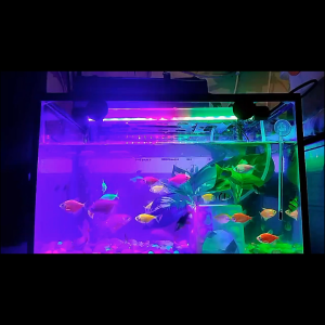 Lampu Celup Aquarium Aquascape Rosston T4 Rs-40Led Ukuran 40Cm Warna Putihbiru