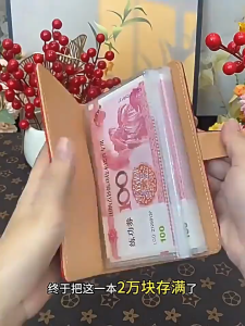 New Money Saving Challeng Large-capacity Large-capacity savings notebook commemorative banknote book 100 Envelopes