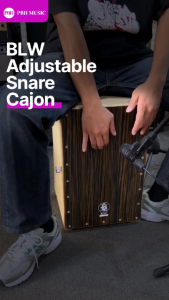 BLW Cajon - Adjustable Snare Cajon with Carrying Bag