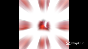 TAIL LIGHT FOR KAWASAKI BARAKO 175