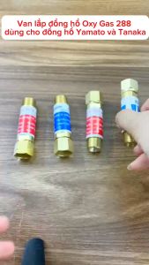 VAN CHỐNG CHÁY NGƯỢC KHÍ HÀN OXY - GAS 188 - 288 3/8 BORRIS