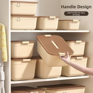 Lidded Handheld Plastic Storage Box