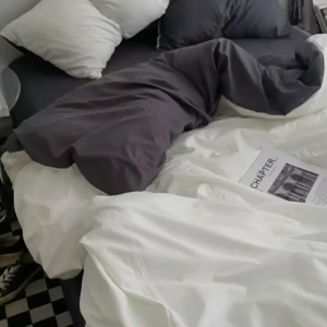 (SG Seller)Ultra-Soft Cream Dual-Tone Brushed Bedding Set | Minimalist Luxury 4-Piece Reversible