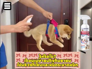 Pst กําจัดหมัด เห็บหมัดหมา เห็บหมัดแมว สเปรย์กำจัดเห็บหมัด สูตรพืช สัตว์เลี้ยงเลียได้ สเปรย์หมา ยาฆ่าเห็บ