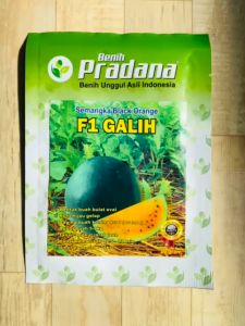 Insektisida kontak pengendali wereng batang coklat CONQUER 100/200SC isi 250ml dari JAI