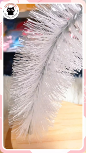 🍄กระดานวงรี+เห็ดคู่ ที่ลับเล็บแมว แผ่นลับเล็บแมว ที่นอนแมว เบาะแมว เบาะแมวพร้อมเห็ดลับเล็บ 2in1 🐾