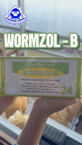 WORMZOL B 1 BOX 24 BOLUS - Obat Cacing Sapi Kerbau Kuda kambing Kurus - obat cacing sapi kambing