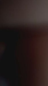 SET LENGKAP POSTER FOTO PRESIDEN - WAKIL PRESIDEN - GARUDA UK.30X485CM ORIGINAL BY SEKRETARIAT NEGARA (TANPA PIGURA)