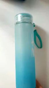 Botol Minum Bening Motif Kucing Lucu Botol Minum Transparan Infused Water Serbaguna