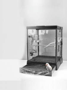PET AND YOU | Disposable Pet Cage Liner