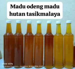 madu asli 100% tanpa campuran