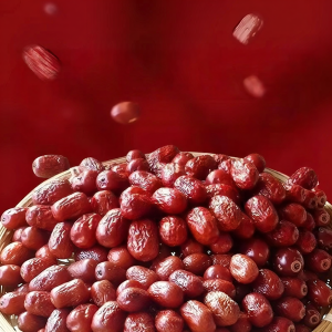 WENXIANGZAN | Cangzhou Golden Silk Dried Jujubes 2026 Fresh Premium Wash-free Red Dates