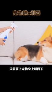 [Hoàn Tiền 10%] Xịt khử mùi cho chó mèo thú cưng hương nước hoa 500ml