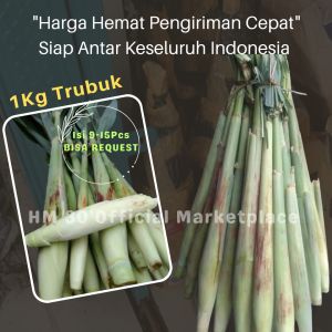 Trubuk 1Kg Termurah Potongan Utuh Fresh Murah Trubus Telur Tebu Turubuk Murah Sayuran Langka 1 Ikat 1000gr Tebundo Khas Sunda Indonesia Telor Tiwu Segar Menu Sehat Panen Dadakan