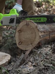 Zhipu | Compact Lithium Battery Chainsaw for Woodcutting