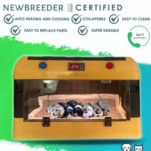 Puppy Incubator for Newbies