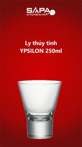 Bộ 12 Ly Thủy Tinh Ypsilon Bormioli Rocco 125020MN5021990 (250ml / Ly)