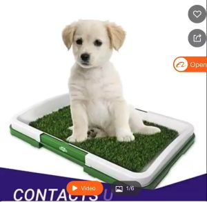 SKY E-COMMERCE CO.Ltd COD Puppy Training Potty Pad Pet Indoor Toilet Dog Toys
