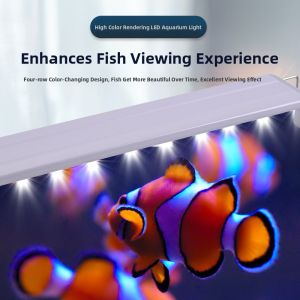 MONLEYTA | Energy-Saving LED Light For Fish Tank Turtle Scenery Waterproof Lighting For Small Aquariums And Aquatic Plants Special Fish