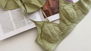 Áo Ngực Nữ Ren Lưới Lót Mỏng Siêu Thoáng Mềm Mịn Bảng Lưng Dan L&U 9391