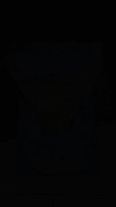 BERAS BASMATI SHUKRIYA PREMIUM XXL SELLA BASMATI INDIA Kemasan 25kg - LAPAX BERAS