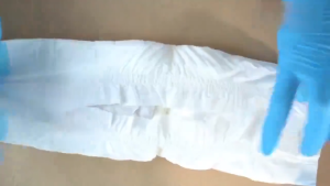 【 Buy 1 Take 1】 EGG 12/10Pcs Dog/Cat Diaper Male and Female Pet Cat Puppy Diaper XXS XS S M L XL