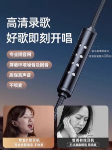 Berlin Sound Professional Wired Earphones for Singing Karaoke In-Ear Microphone Type-C Recording Studio Headsets