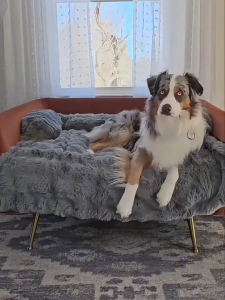 Pet Dog Bed Sofa Fluffy Plush Pet Nest Suitable for Large Dogs Winter Warm Cat Mattress Washable Dog Mat Blanket Sofa Cover