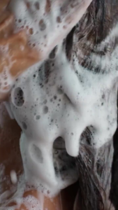 Terra Diverde Keratin treatment Shampo 250ML|shampo perawatan rambut rusak rambut rontok rambut berwarna