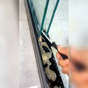 ALAT PEMBERSIH CELAH SIKAT TANGAN CELAH BRUSH CLEANER SIKAT SUDUT SULIT