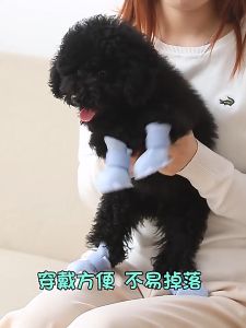 Bộ 4 chiếc Giày ủng kháng nước bảo vệ chân cún cưng mèo cưng đi mưa chống trượt. Giày đi mưa cho thú cưng