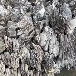 Qinglong stone landscaping青龙石造景 stone raw stone amphibious fish tank