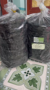 RONG BIỂN NẤU CANH LOẠI NGON 500G ( RONG MỨT ) - NẤU CANH LÀM RONG CHÁY TỎI