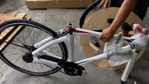GW Fixie Bike – 700c Steel Frame with Front Sport Rim