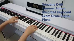Master/ Exam Grade Digital Piano Hammer Action Piano Weighted Keyboard Cheapest Price High Quality Sonatina K-60 Hammer Action Weighted Keys Digital Piano Keyboard Fully Weighted Full Size Key Hammer Touch Piano Multifunction Piano Exam Grade Piano