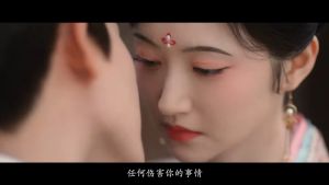 USB China Drama 华语大陆剧 《柳舟记 + 锦绣安宁 + 似锦》 华语中字 Pendrive