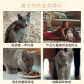 Sheba Cat Food ช่องทางเลี้ยงสัตว์สุนัขและแมว อาหารแมวแห้ง อาหารแมวสด อาหารแมวแบบอบแห้ง อาหารแมวแบบอบแห้ง 12 ชิ้น. 