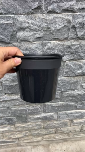 Chậu nhựa cứng Thakico 15x13 Tròn.