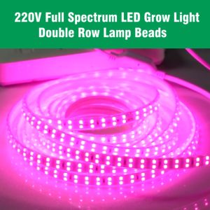 20 เมตร 220V ไฟเส้นปลูกต้นไม้ LED ลูกปัด Diwali 2 ชิ้น, ช่วยทำใบ, ทำดอก, ตัดได้, ยืดหยุ่น เปลี่ยนฟรี
