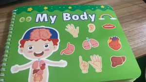 The Quiet Book/children gambar Velcro busy book/ reused book/ buku aktivitas