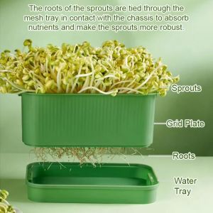 Bean Sprouts Sprouting Artifacts Special Pots Hydroponic Soybean Sprouts Seedling Tray Green Peas Large Household Food-Grade Bean Sprout Jar发芽专用种植盆