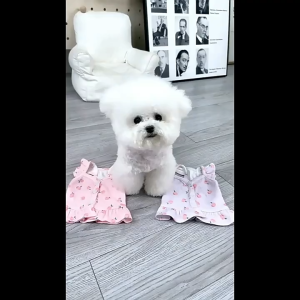 เสื้อผ้าลูกสูงสุนัขชุดสูงสุนัขแขนลอย พิเศษสำหรับผู้หญิง S-XL (กระโปรงลายแมว)