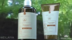 Phiên bản Luxury Bộ Gội Xả Gừng Detox Hỗ Trợ Mọc Tóc & Ngăn Lão Hóa Da Đầu Gội 420ml Xả 200ml