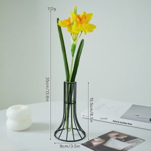 Creative Vase For Hydroponic Plants Decoration