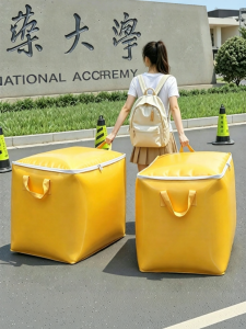 bicoy | Durable Thick Large Capacity Storage Bag