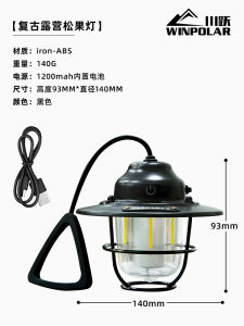 Portable Outdoor Camping Illumination Lamp Super Long Battery Life Pinecone Handheld Light Charging Atmosphere Lamp by Chuanyue