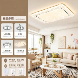 RUILUO | Protective Eye Full Spectrum Ceiling Light Modern Minimalist Design