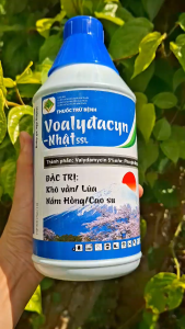 [THIEN THINH SHOP] Thuốc trừ bệnh hoạt chất Valydamycin 5% hiệu VOALYDACYN NHẬT 5SL trừ bệnh đốm vằn trên lúa nấm hồng trên cao su hiệu quả cao chai 1 lít