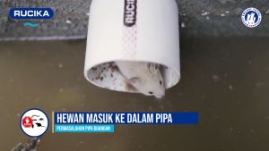 tutup saluran air Automatic Valve Backflow 3 4 inc cegah hewan masuk anti bau banjir karat